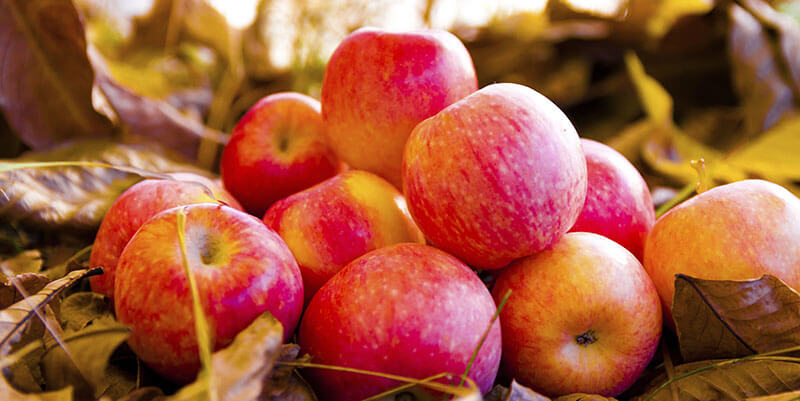 An apple a day to keep the doctor away?