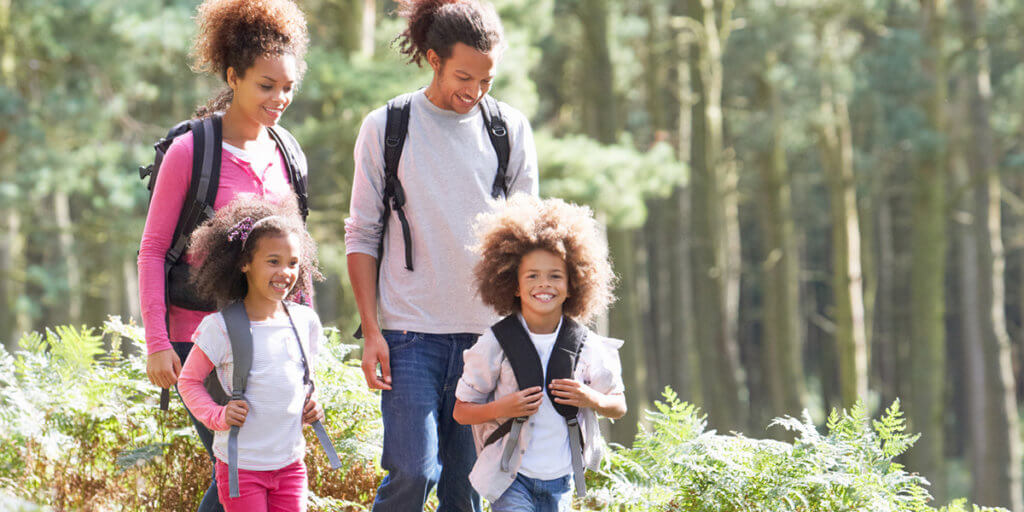 Ticks and Lyme Disease